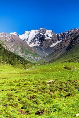 Tian Shan dağlarındaki Alatau Platosu Karakol, Kırgızistan, Orta Asya