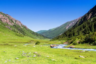 Tian Shan dağlarındaki Alatau Platosu Karakol, Kırgızistan, Orta Asya