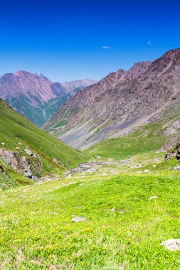 Tian Shan dağlarındaki Alatau Platosu Karakol, Kırgızistan, Orta Asya