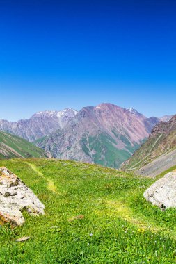 Tian Shan dağlarındaki Alatau Platosu Karakol, Kırgızistan, Orta Asya