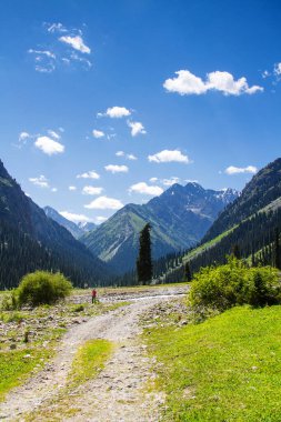 Kırgızistan, Orta Asya 'daki Karakol yakınlarındaki Tian Shan dağlarından geçen yol.
