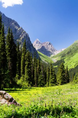 Tian Shan dağlarındaki Alatau Platosu Karakol, Kırgızistan, Orta Asya