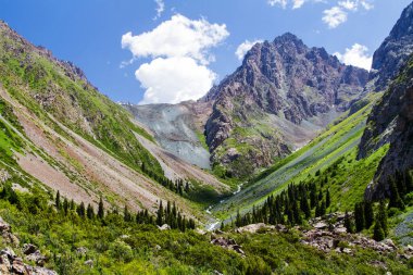 Tian Shan dağlarındaki Alatau Platosu Karakol, Kırgızistan, Orta Asya