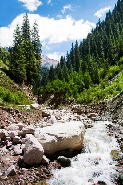 Tian Shan Βουνά Καζακστάν — Φωτογραφία Αρχείου