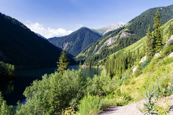 Hermosa Vista Del Lago Alta Montaña Kolsai Kazajstán Montañas Tien —  Fotos de Stock