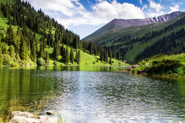 Kazakistan 'daki yüksek dağ gölü Kolsai' nin güzel manzarası, Tien Shan dağları, Orta Asya