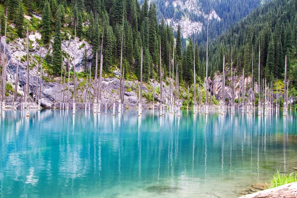 Stock image Kaindy Lake in Tien Shan mountain, Kazakhstan.