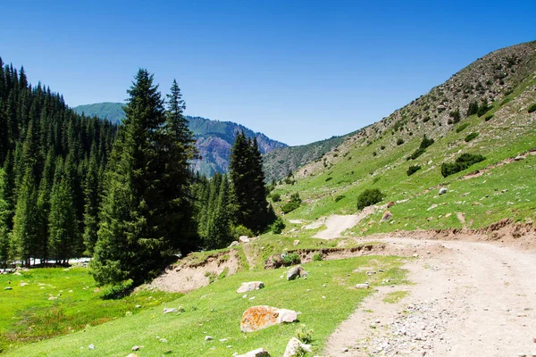 Δρόμος Μέσω Των Βουνών Tian Shan Κοντά Στο Karakol Στο — Φωτογραφία Αρχείου