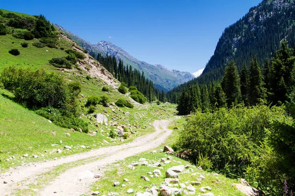Vägen Genom Tian Shan Bergen Nära Karakol Kirgizistan Centralasien — Stockfoto