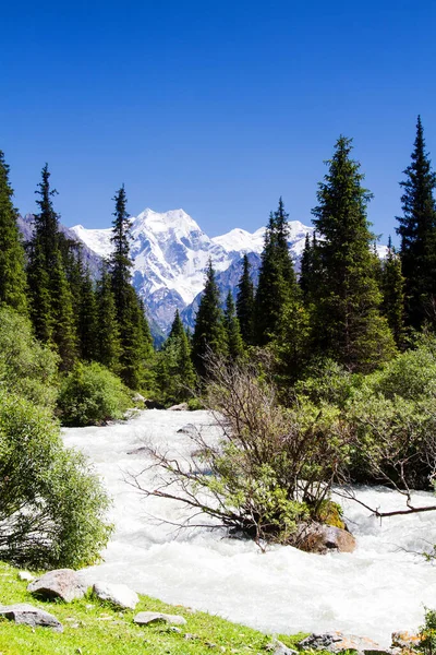 Meseta Alatau Las Montañas Tian Shan Karakol Kirguistán Asia Central — Foto de Stock