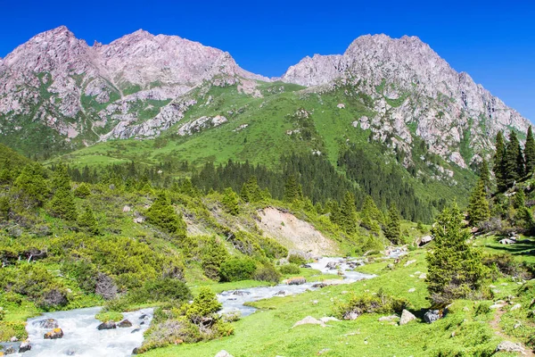 Alatau Fennsík Tian Shan Hegységben Karakol Kirgizisztán Közép Ázsia — Stock Fotó