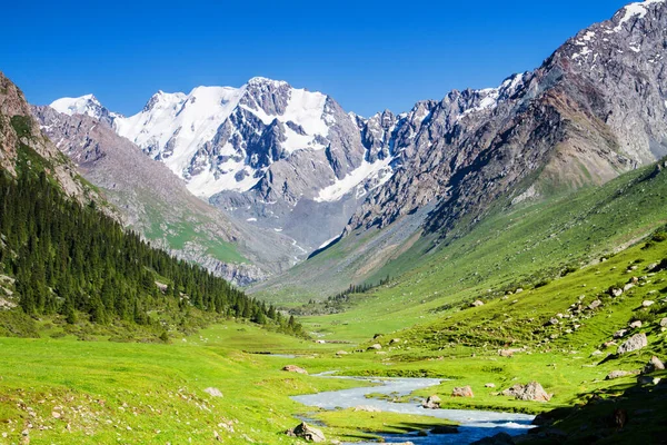 Alatau Plateau Tian Shan Montanhas Karakol Quirguistão Ásia Central — Fotografia de Stock