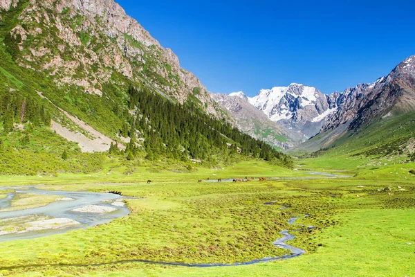 Meseta Alatau Las Montañas Tian Shan Karakol Kirguistán Asia Central — Foto de Stock