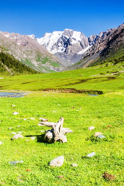 Alatau Plateau Tian Shan Bergen Karakol Kirgizistan Centralasien — Stockfoto