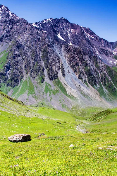 Alatau Fennsík Tian Shan Hegységben Karakol Kirgizisztán Közép Ázsia — Stock Fotó