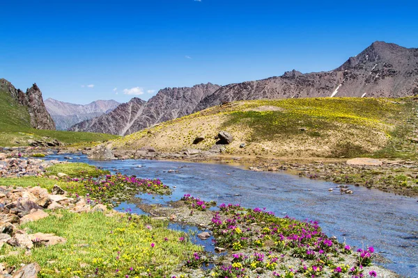 Alatau Platå Tian Shan Bergen Karakol Kirgizistan Centralasien Bild Tagen — Stockfoto