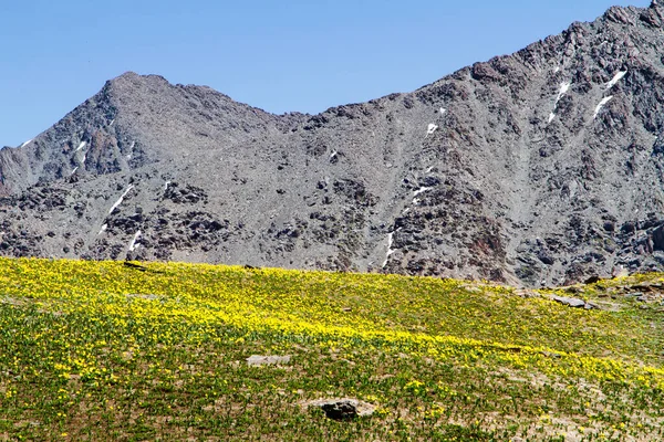 Alatau Plateau Horách Tian Shan Karakol Kyrgyzstán Střední Asie Fotografie — Stock fotografie