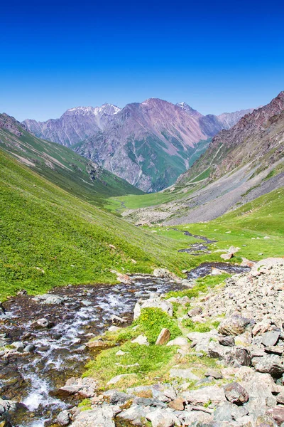 Płaskowyż Alatau Górach Tian Shan Karakol Kirgistan Azja Środkowa — Zdjęcie stockowe