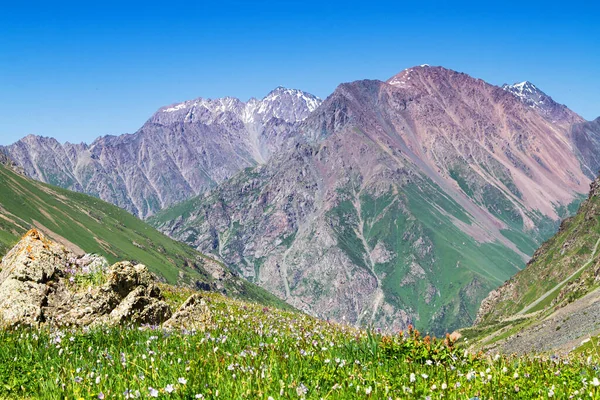 天山山脈のアラタウ高原 カラコル キルギス 中央アジア — ストック写真