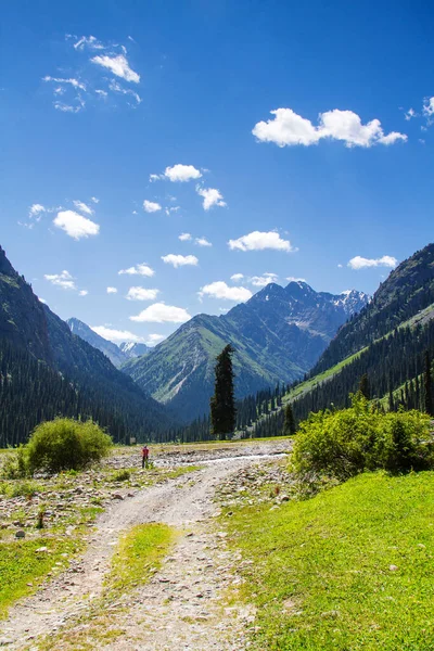 Route Travers Les Montagnes Tian Shan Près Karakol Kirghizistan Asie — Photo