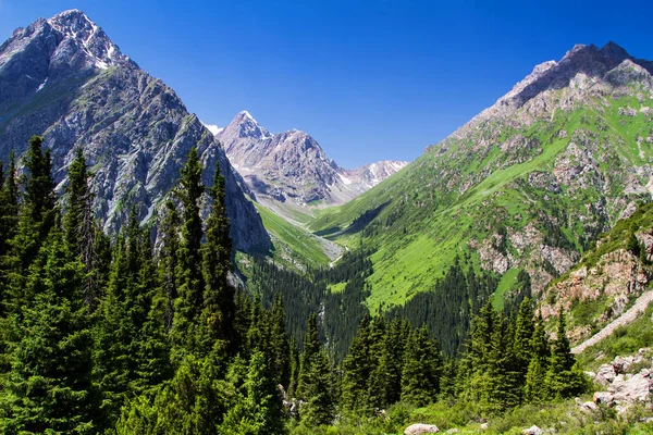 Alatau Plateau Horách Tian Shan Karakol Kyrgyzstán Střední Asie — Stock fotografie