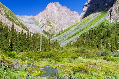Tian Shan dağlarındaki Alatau Platosu Karakol, Kırgızistan, Orta Asya