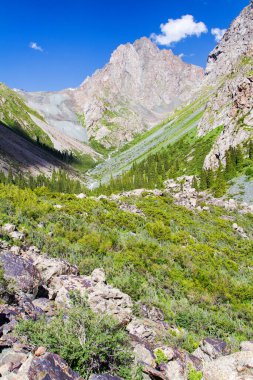 Tian Shan dağlarındaki Alatau Platosu Karakol, Kırgızistan, Orta Asya