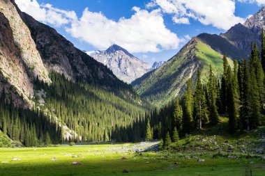 Tian Shan dağlarındaki Alatau Platosu Karakol, Kırgızistan, Orta Asya
