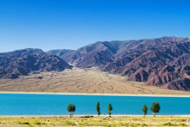Kırgızistan, Orta Asya 'da Kochkor ve Naryn yakınlarında bir dağ gölü olan güzel bir manzara.
