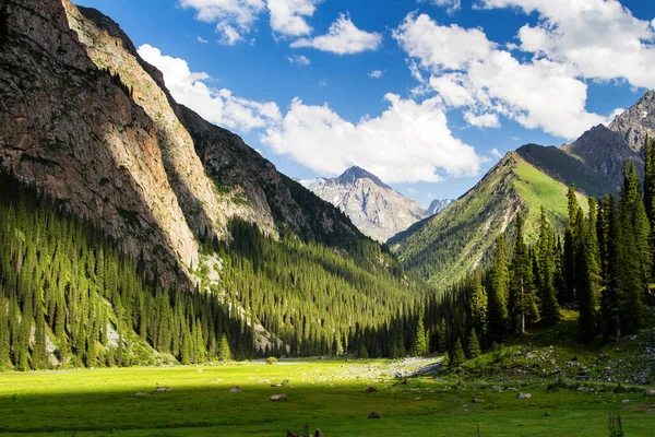 Plateau Alatau Dans Les Montagnes Tian Shan Karakol Kirghizistan Asie — Photo