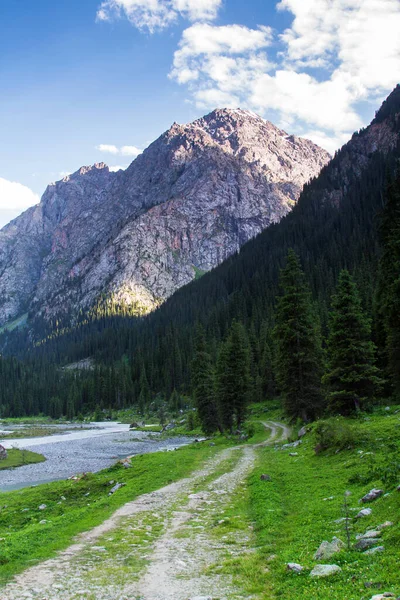 Plateau Alatau Dans Les Montagnes Tian Shan Karakol Kirghizistan Asie — Photo