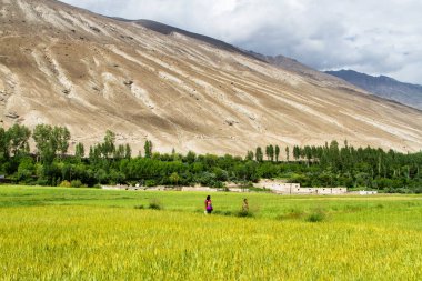 Wakhan Coridor. Marco Polo ipek yolunda Pamir otoyolunun yanında Panj Nehri (Amu Darya) tarafından bölündü. Gorno Badakhsan ili, Tacikistan, Orta Asya