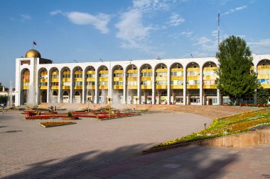 Bişkek, Kırgızistan, Orta Asya 'da güneşli bir günde çiçeklerle çok kare.