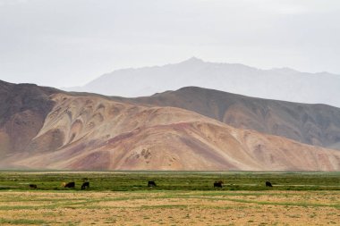 Bolonkul köyü, Pamir, Tacikistan, Orta Asya 'da küçük bir yerleşim yeri. Bolonkul Tacikistan 'daki en soğuk yerdir..