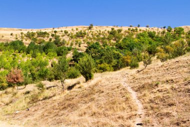 Özbekistan, Orta Asya 'daki Charvak Gölü yakınlarındaki Rolling Hills ve Tian Shan Dağları