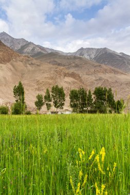 Wakhan Coridor. Marco Polo ipek yolunda Pamir otoyolunun yanında Panj Nehri (Amu Darya) tarafından bölündü. Gorno Badakhsan ili, Tacikistan, Orta Asya