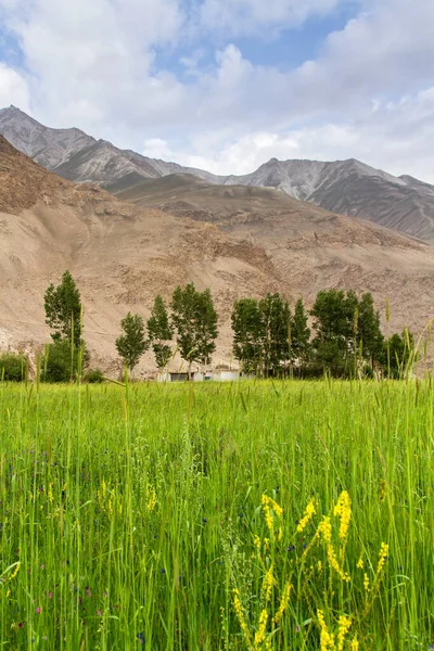 Wakhan Coridor. Marco Polo ipek yolunda Pamir otoyolunun yanında Panj Nehri (Amu Darya) tarafından bölündü. Gorno Badakhsan ili, Tacikistan, Orta Asya