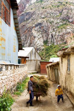 SARYTAG, TAJIKISTAN - 2 Ağustos 2015: Erkekler, Fan Dağları 'nın uzak bölgelerinde samanlı el arabasını itiyor. Orta Asya