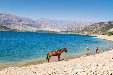 Özbekistan 'da Charvak gölü ve dağlar, Orta Asya