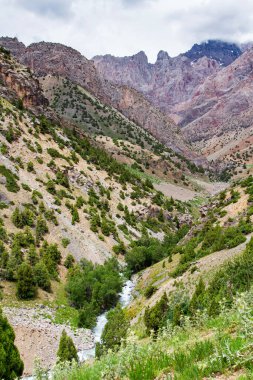 Yazın, Tacikistan, Orta Asya 'daki Fan Dağları' nın Dağ Manzarası