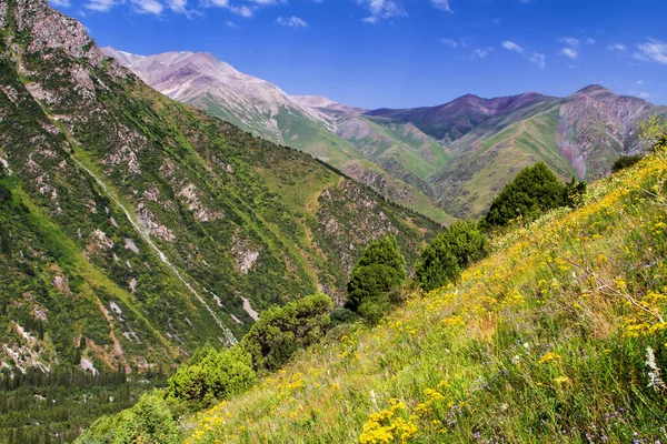 Park Narodowy Ala Archa Góry Tian Shan Kirgistan Azja Środkowa — Zdjęcie stockowe