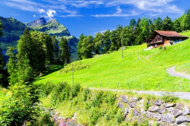 İsviçre Alpleri arasındaki ahşap ev..