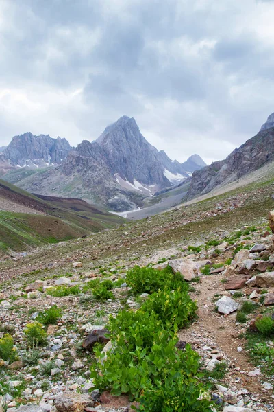 Paisaje Montaña Las Montañas Del Ventilador Verano Tayikistán Asia Central —  Fotos de Stock