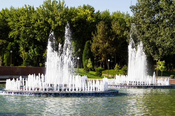 Fontana Tashkent Capitale Dell Uzbekistan — Foto Stock