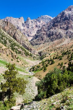 Yazın, Tacikistan, Orta Asya 'daki Fan Dağları' nın Dağ Manzarası