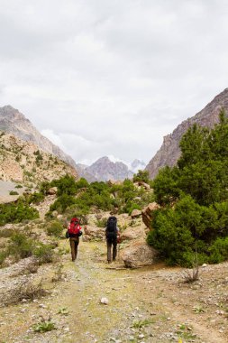 Yazın, Tacikistan, Orta Asya 'daki Fan Dağları' nın Dağ Manzarası