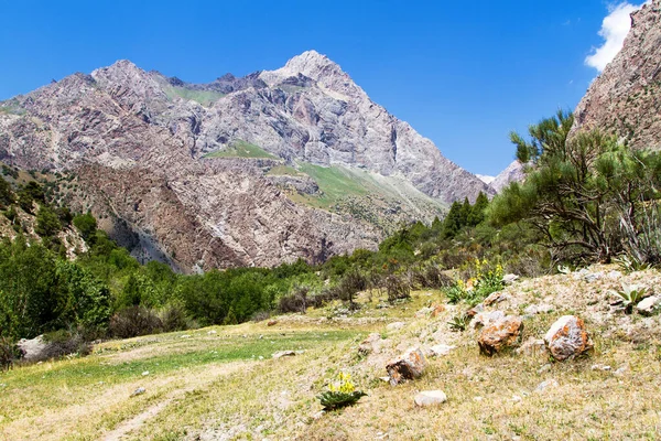 Paisagem Montanhosa Das Montanhas Dos Fãs Verão Tajiquistão Ásia Central — Fotografia de Stock