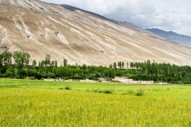 Wakhan Coridor. Marco Polo ipek yolunda Pamir otoyolunun yanında Panj Nehri (Amu Darya) tarafından bölündü. Gorno Badakhsan ili, Tacikistan, Orta Asya