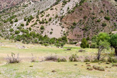 Yazın, Tacikistan, Orta Asya 'daki Fan Dağları' nın Dağ Manzarası
