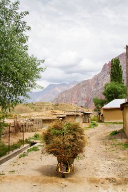 Fan Dağları 'nın uzak bölgesinde saman yığını olan el arabası. Orta Asya